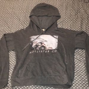 Hollister Sweatshirt